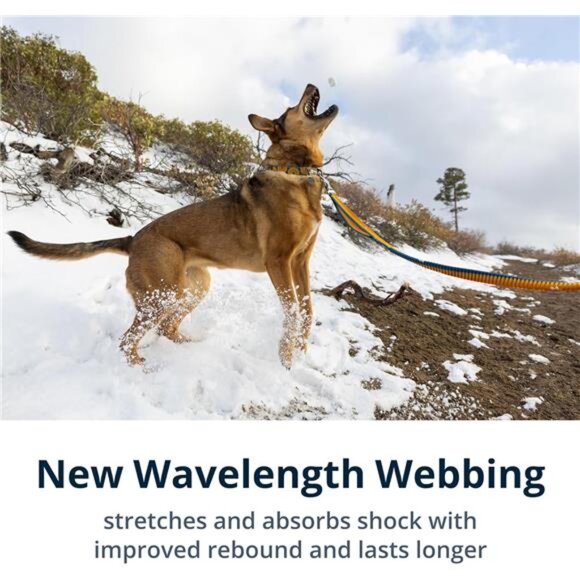 Roamer Bungee Dog Leash for Running, Biking or Hiking, Can be Used Hand-Held - Picture 3 of 7